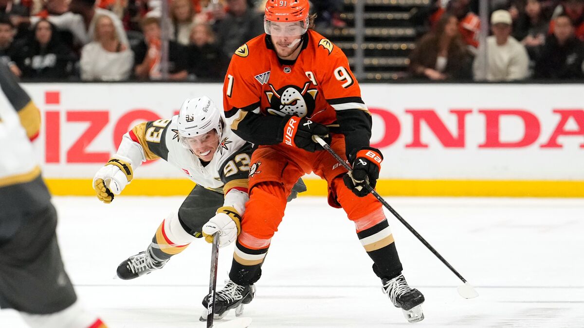 Flyers make huge $18 million-a-year offer for Leo Carlsson