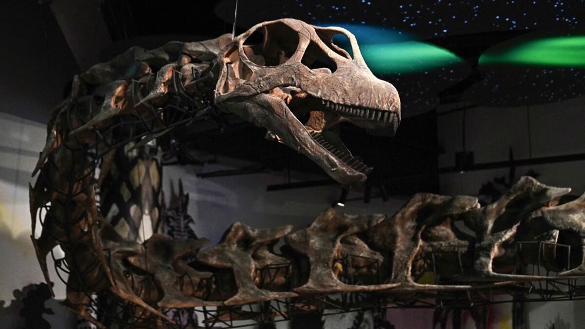 Fossil find: New giant dinosaur identified in Thailand