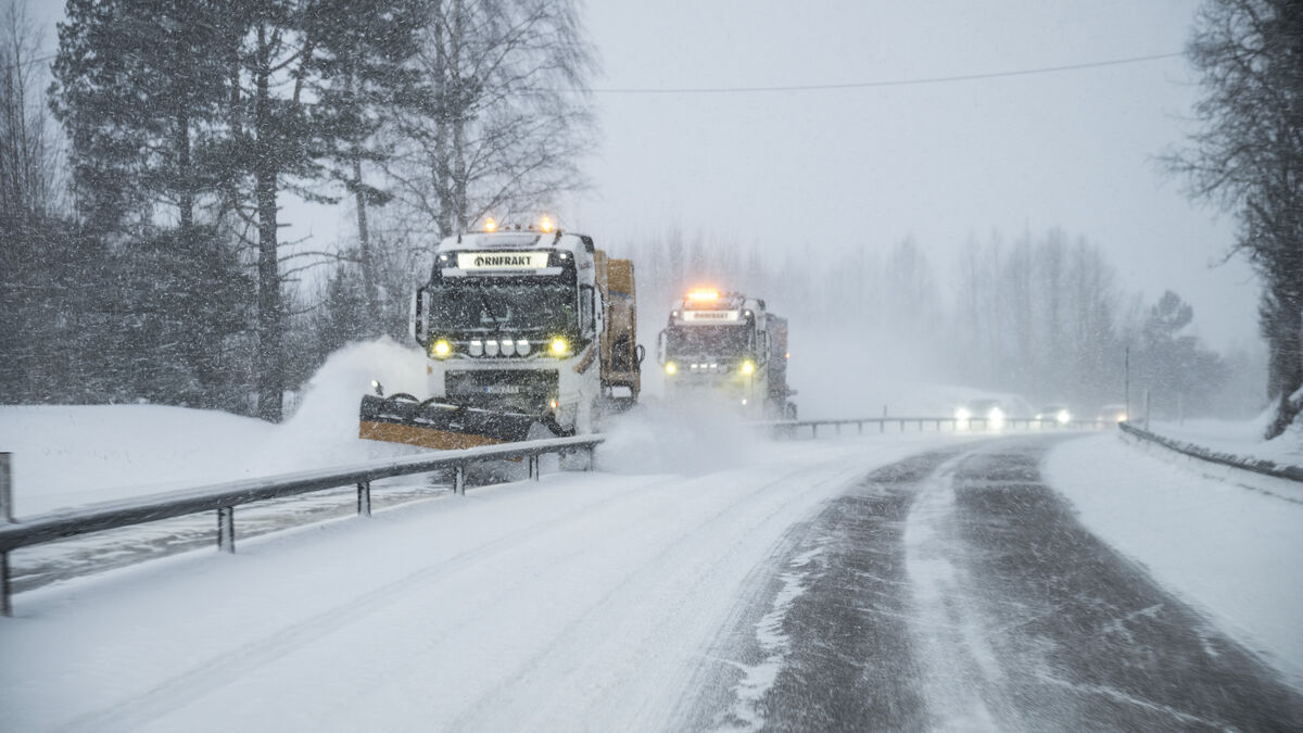 Snow and wind paralyzed Västernorrland, schools closed and public transport cancelled