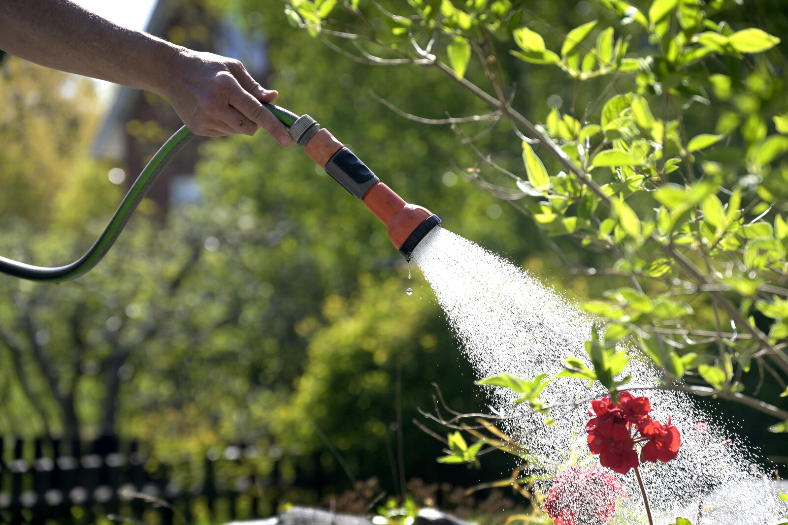 Gotland Enforces Irrigation Ban to Protect Drinking Water Supply