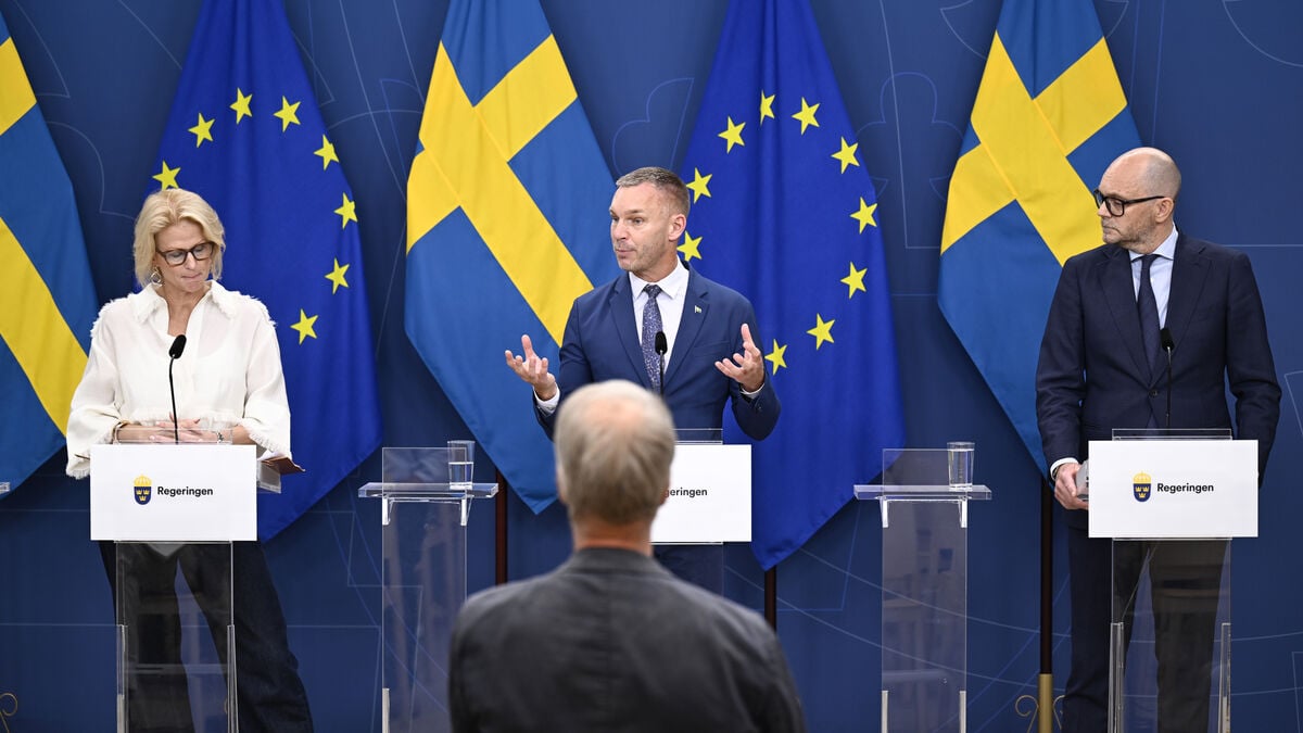 Tidö parties appoint inquiry to improve government efficiency, cut waste
