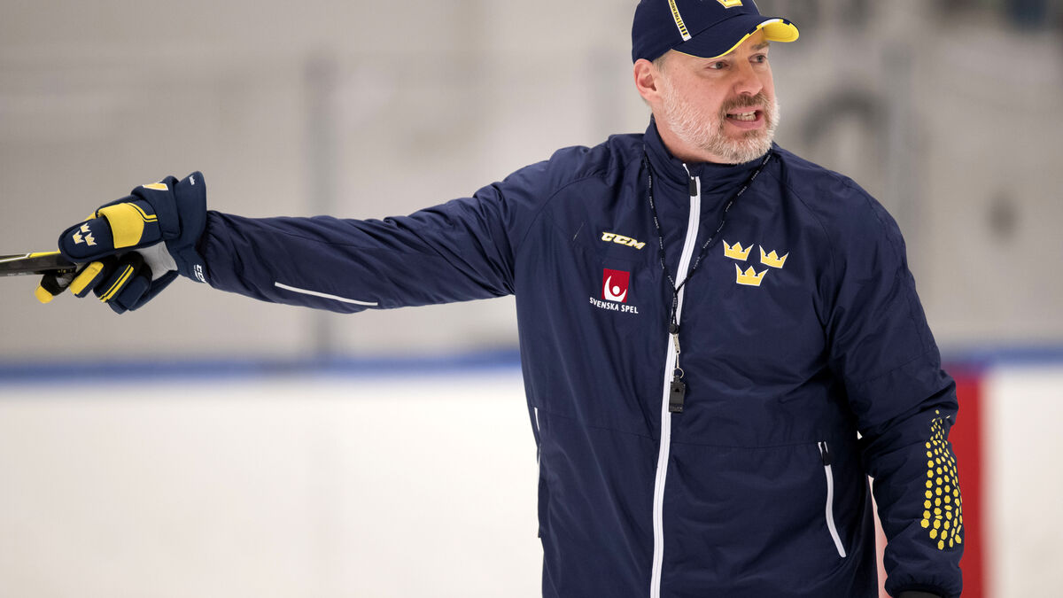 Rickard Grönborg, future Tre Kronor captain, suspended for three games after chaotic match