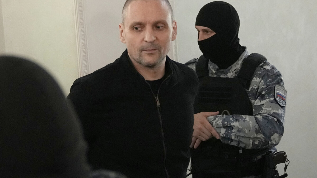 Putin critic Sergei Udaltsov sentenced