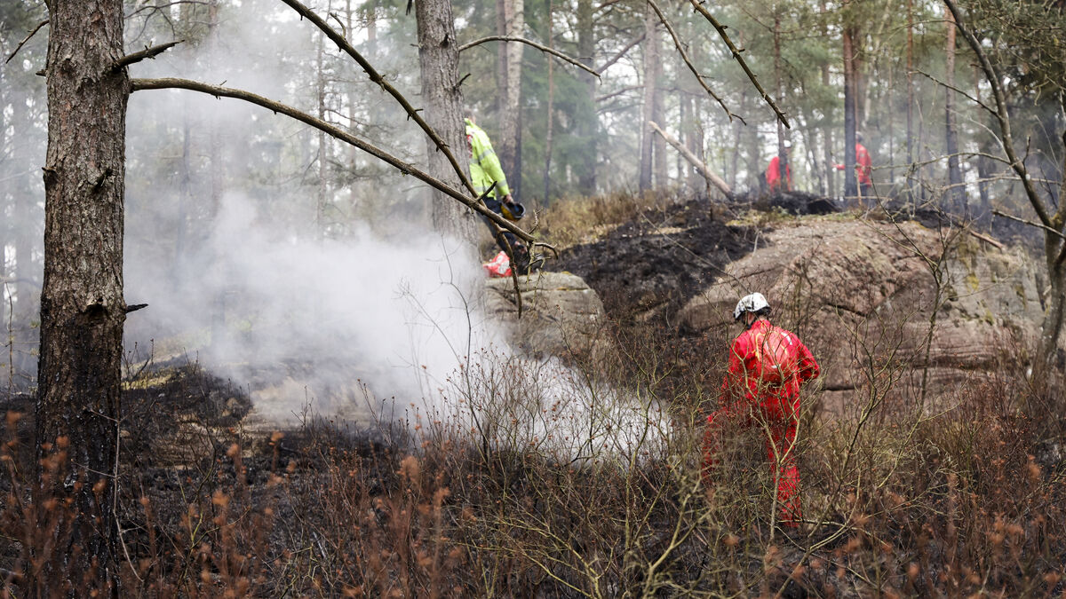 Forest fire in its third day in Gothenburg - no forecast