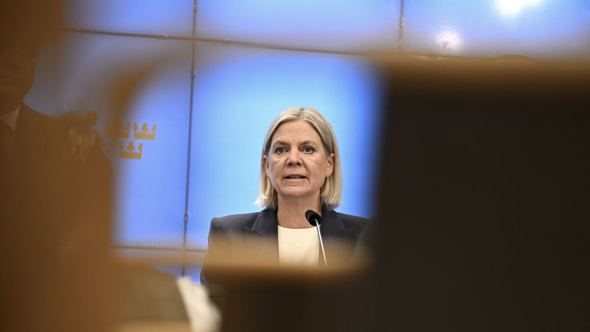 Andersson wants to ban ministers