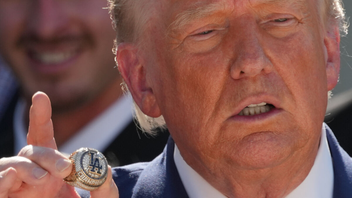 Swedish MEP Karin Karlsbro dismisses Trump’s new tariff threat after Google fine