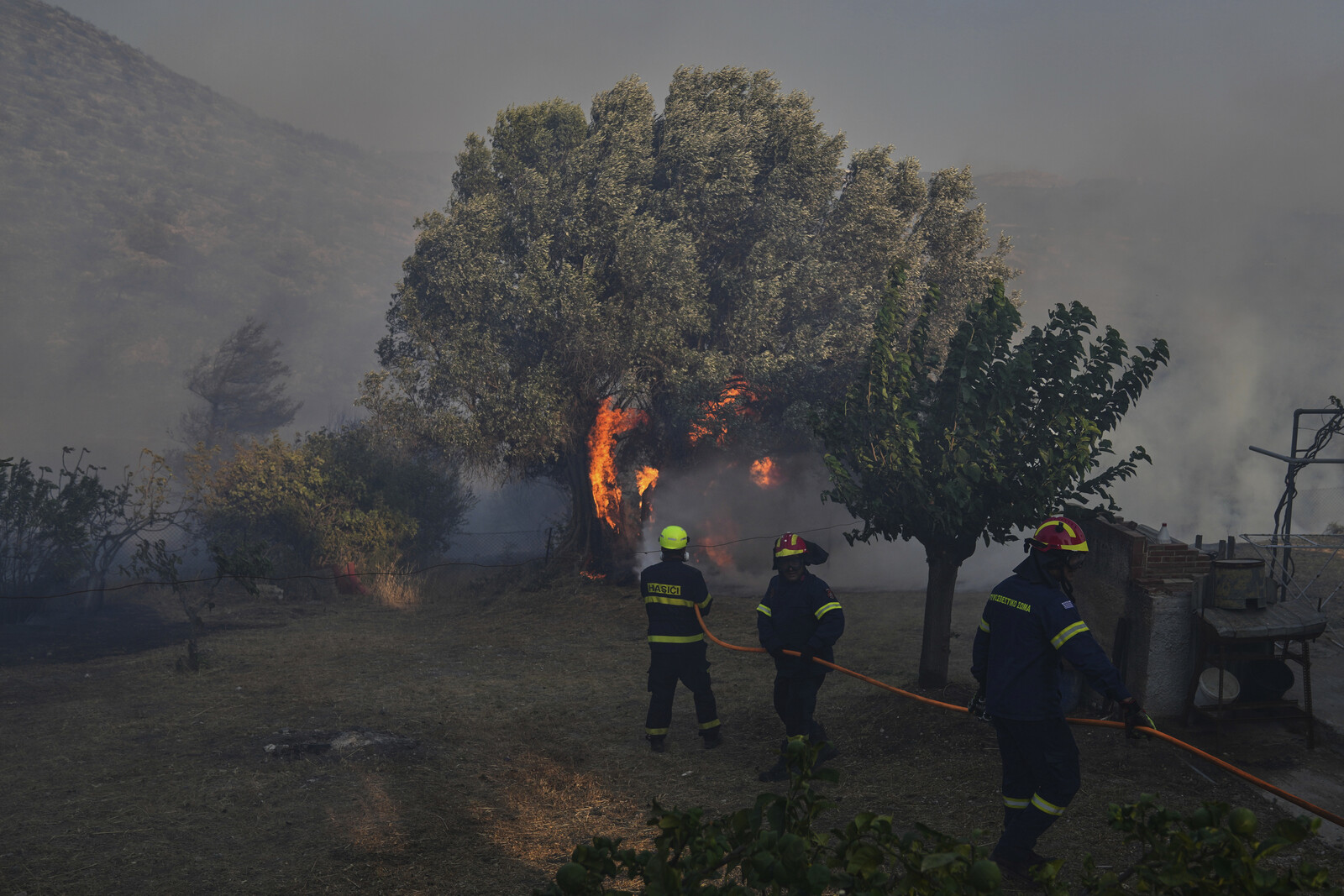 Elderly Man Dies in Greece