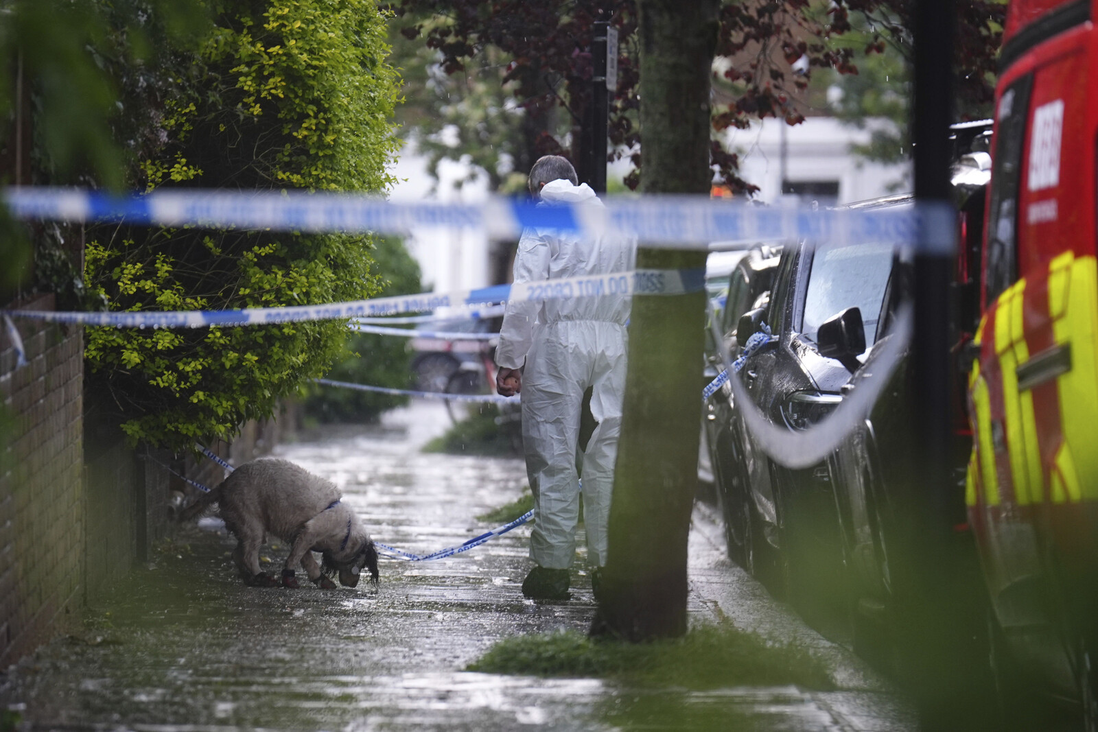 Three Arson Attacks Linked to