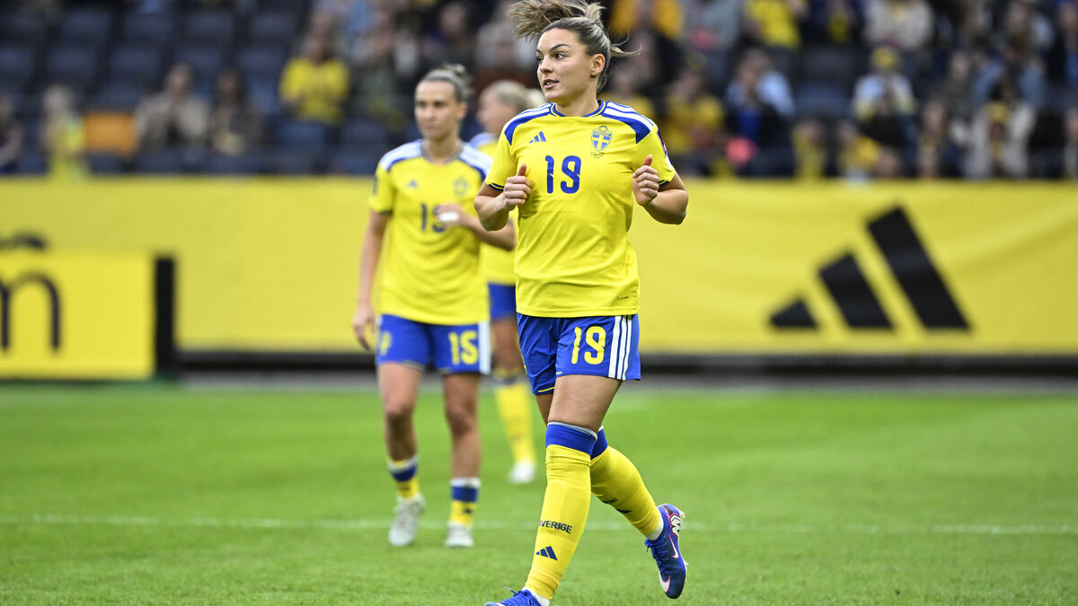 This is how Sweden goes to the World Cup: Want to crush Denmark
