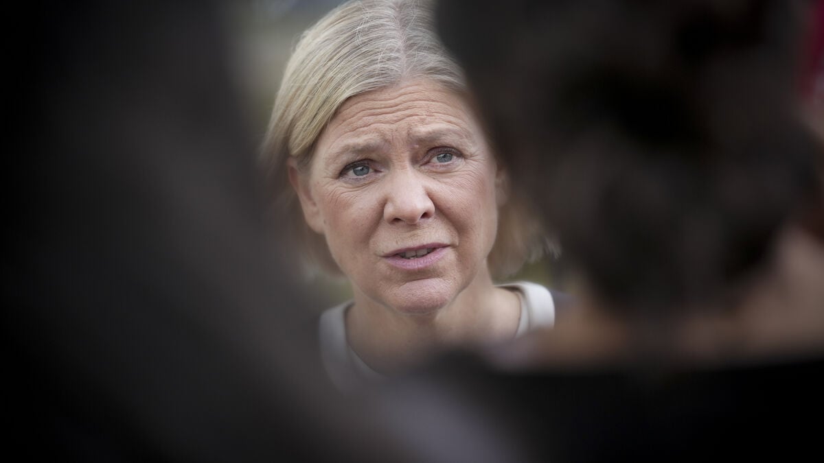 Professor: Social Democrats’ drop in Novus poll is highly unusual