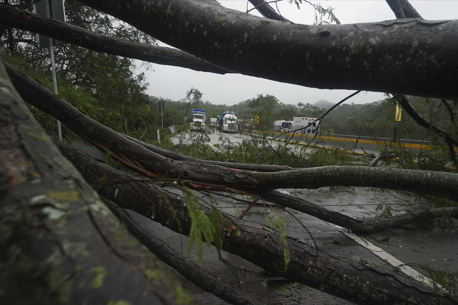 Many dead in two landslides in Mexico