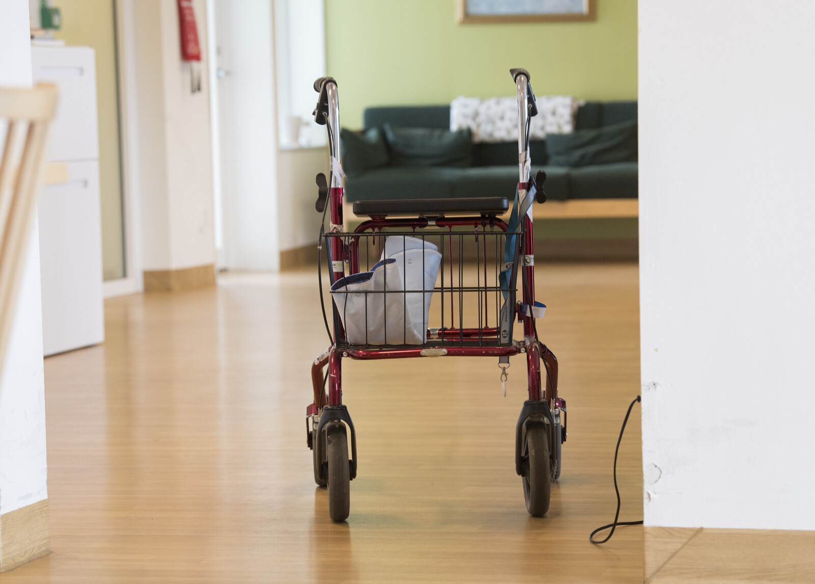 Swedish Care Worker Jailed for Defrauding Elderly of Millions
