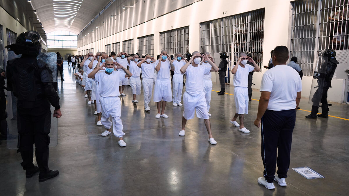Report: Around 500 prisoners have
