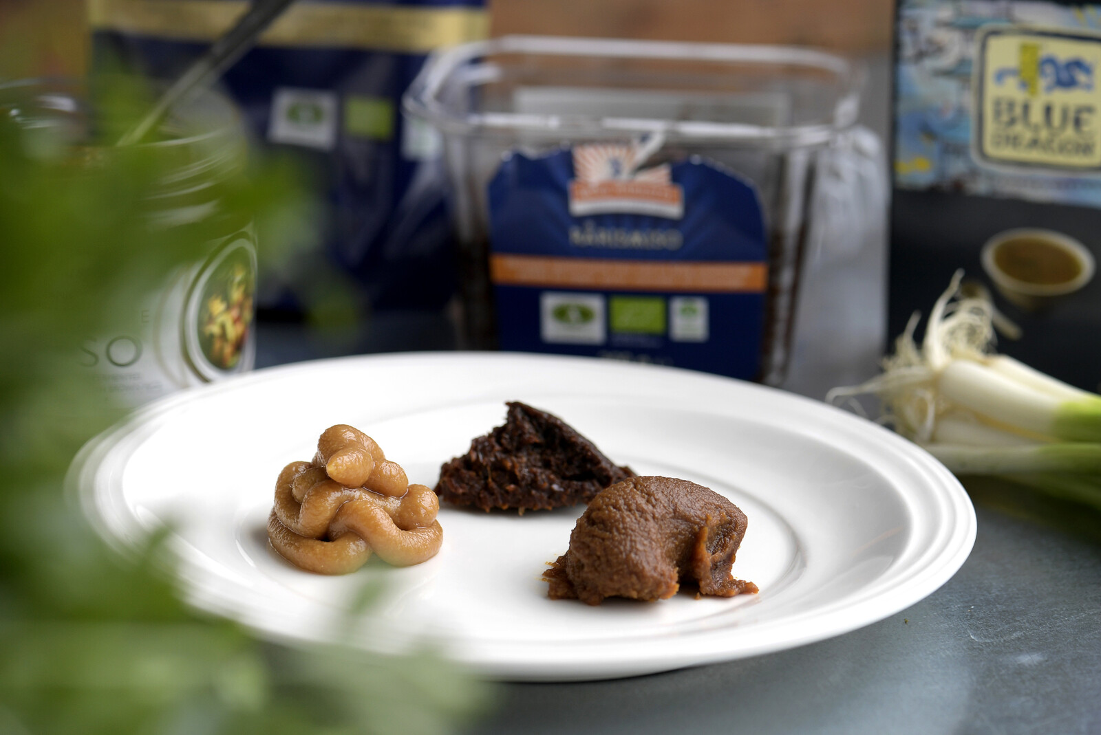Space Miso: Fermentation in Orbit