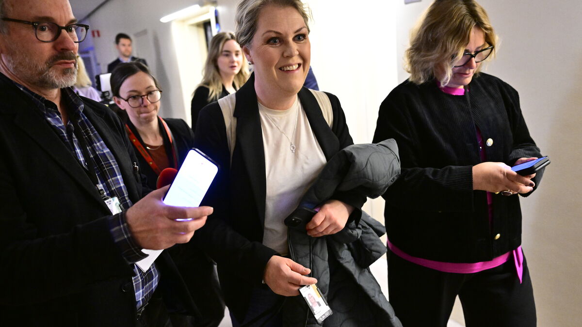 The warning about the clearing chaos in the Riksdag - it could take years
