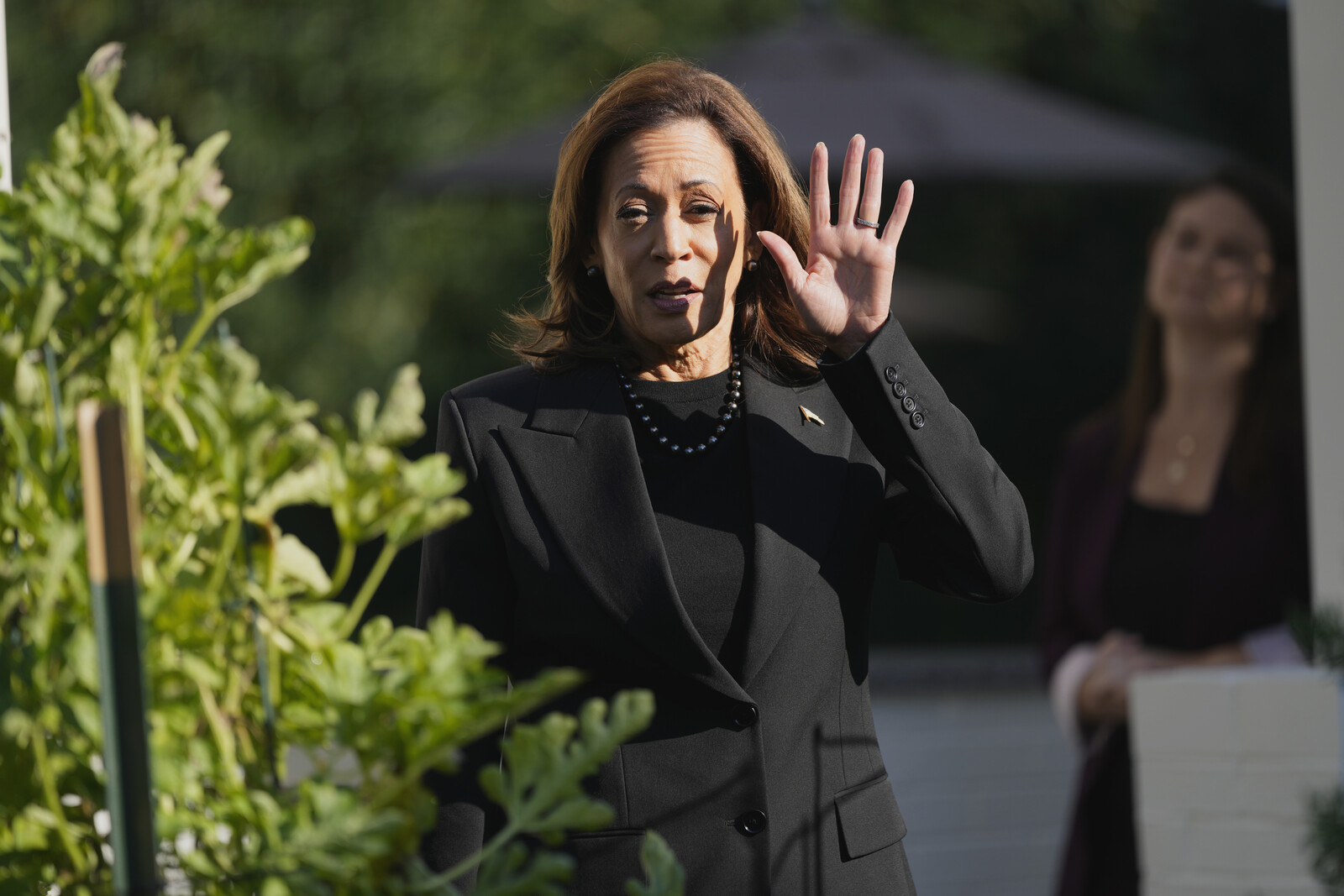 Harris avoids question about alliance