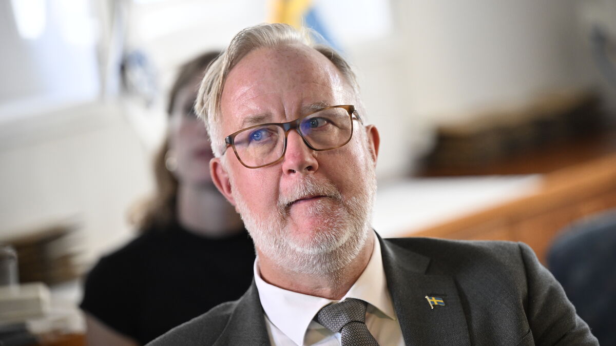 Former Liberal Party leader Johan