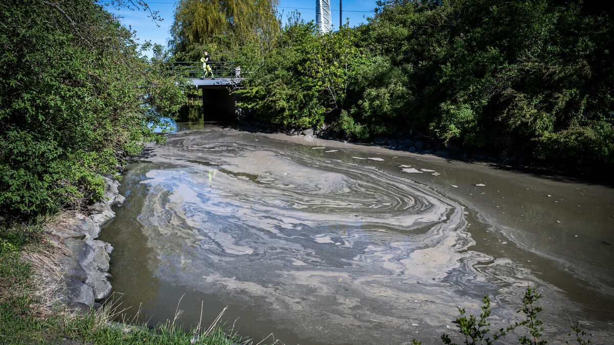 After the sewage leak in