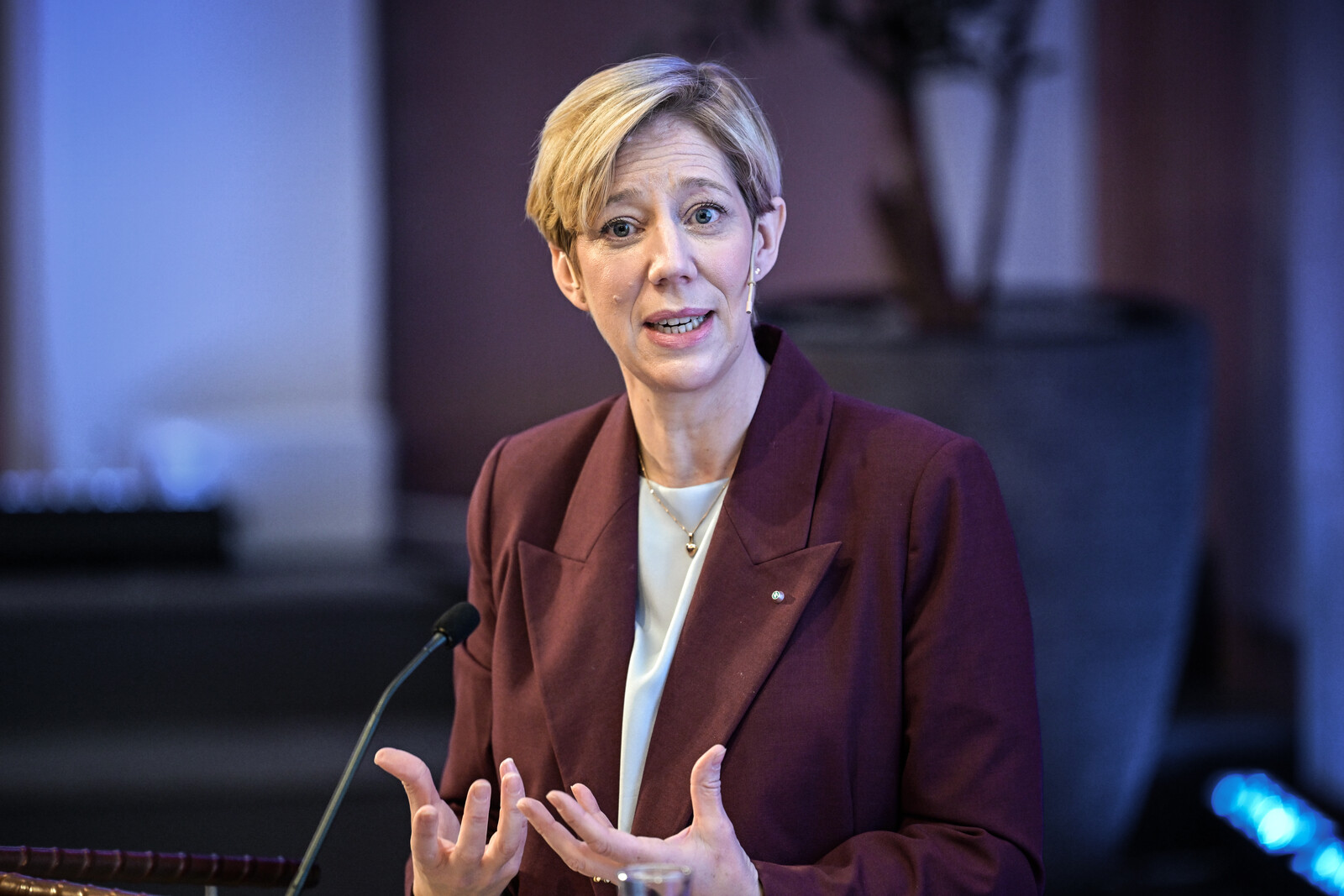 Central Bank Deputy Governor: Interest Rates May Rise or Fall