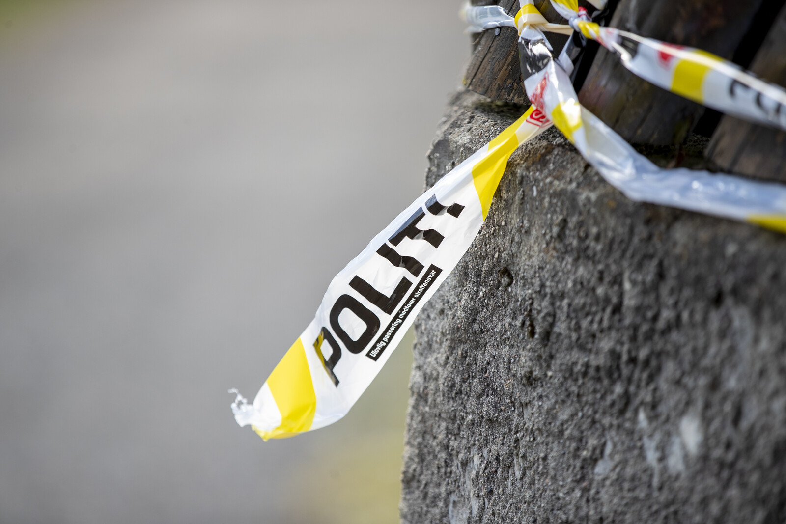Norway: One arrested for human