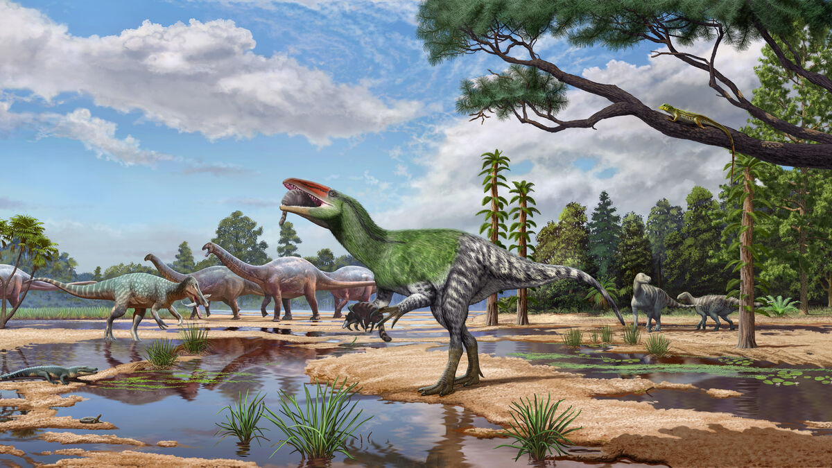 New carnivorous dinosaur species identified