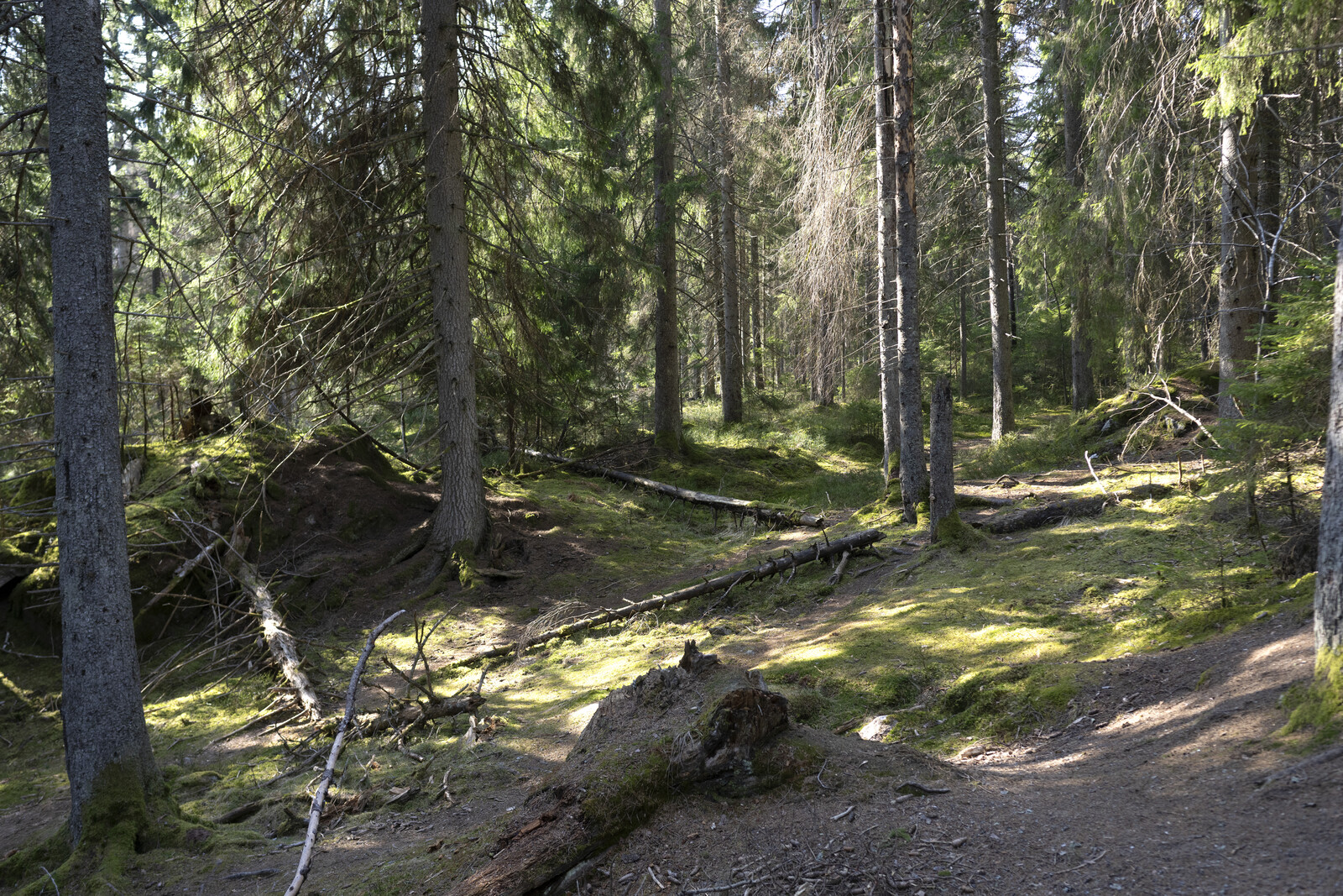 EU Unveils Plan for Nature