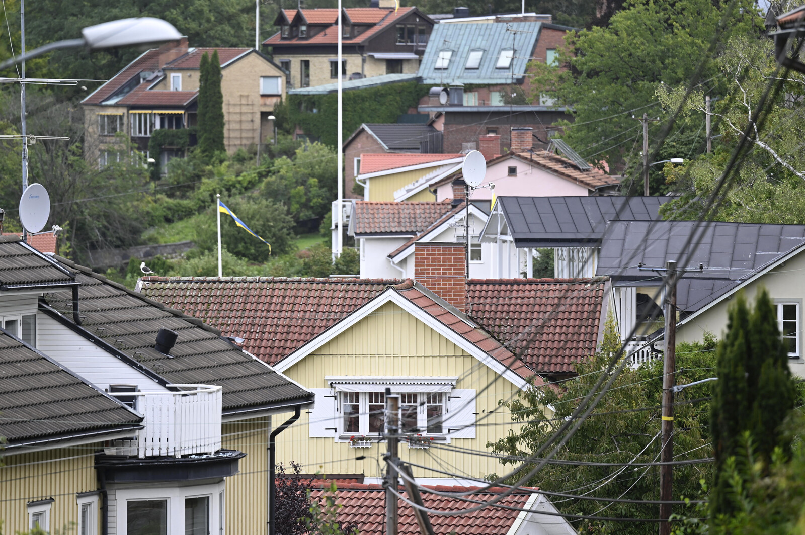 Housing Prices Rise in May but Trend Remains Cool