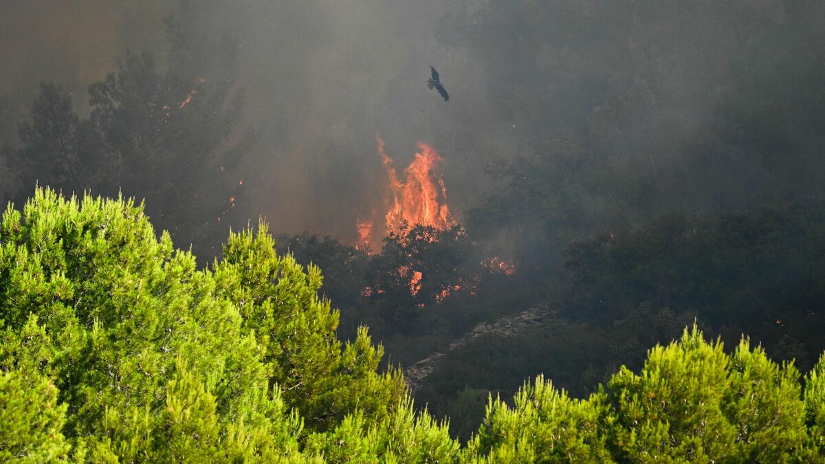 Thousands Evacuated as Wildfires Spread