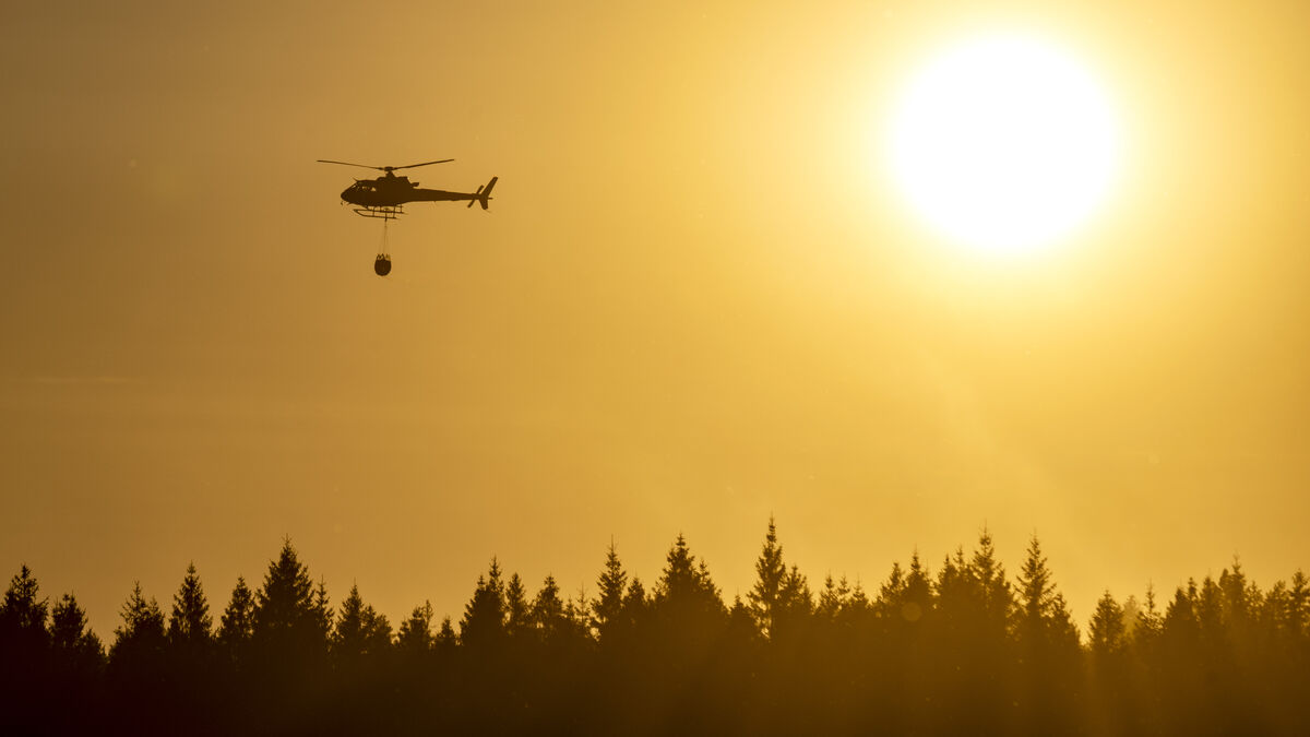 Forest fire warning in large