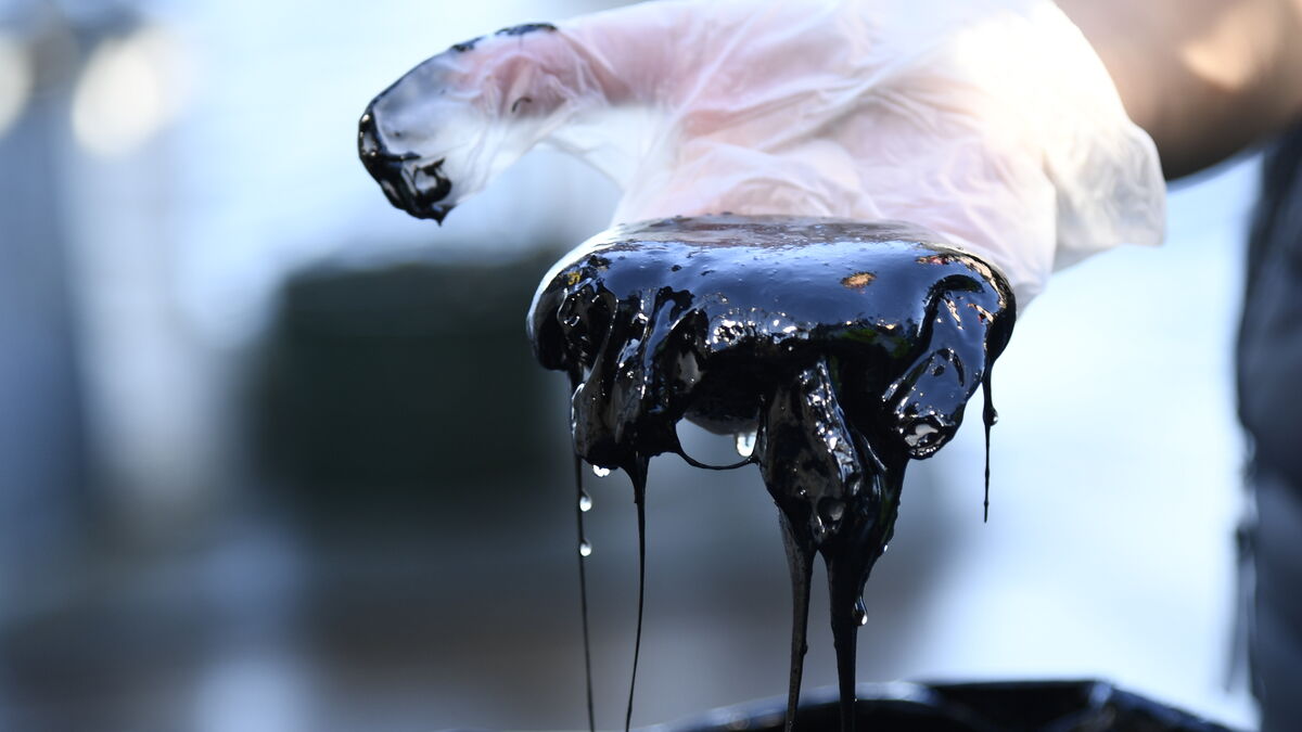 Oil price back above $100