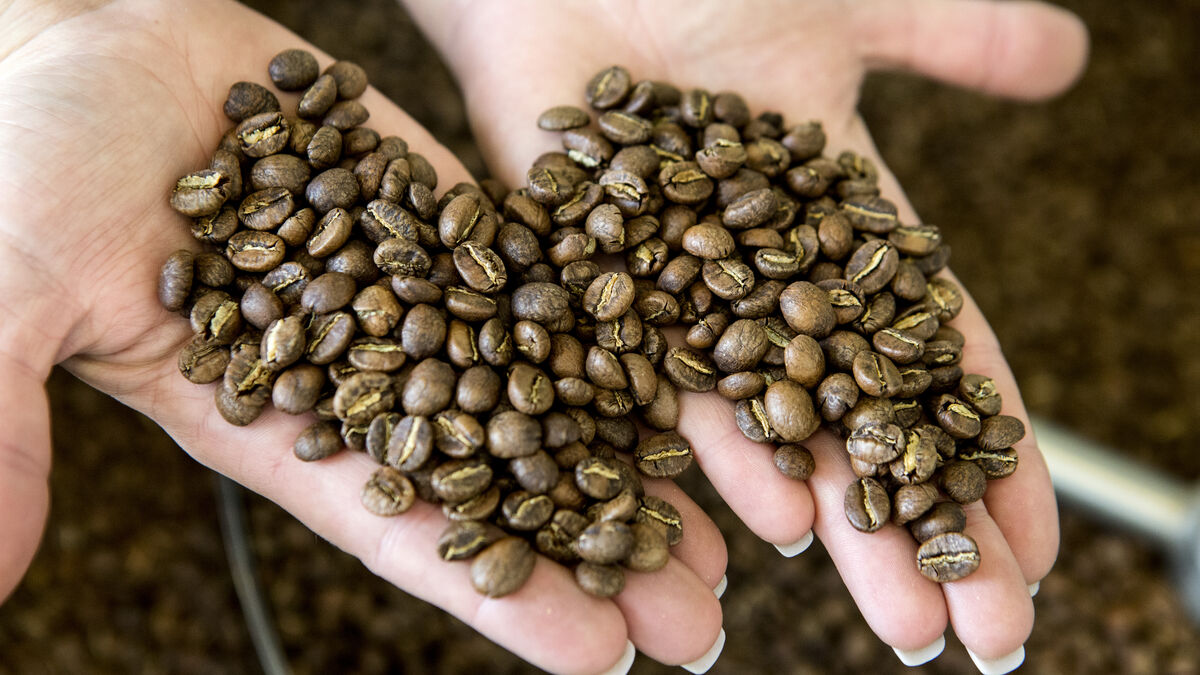 Coffee prices fall to six-month