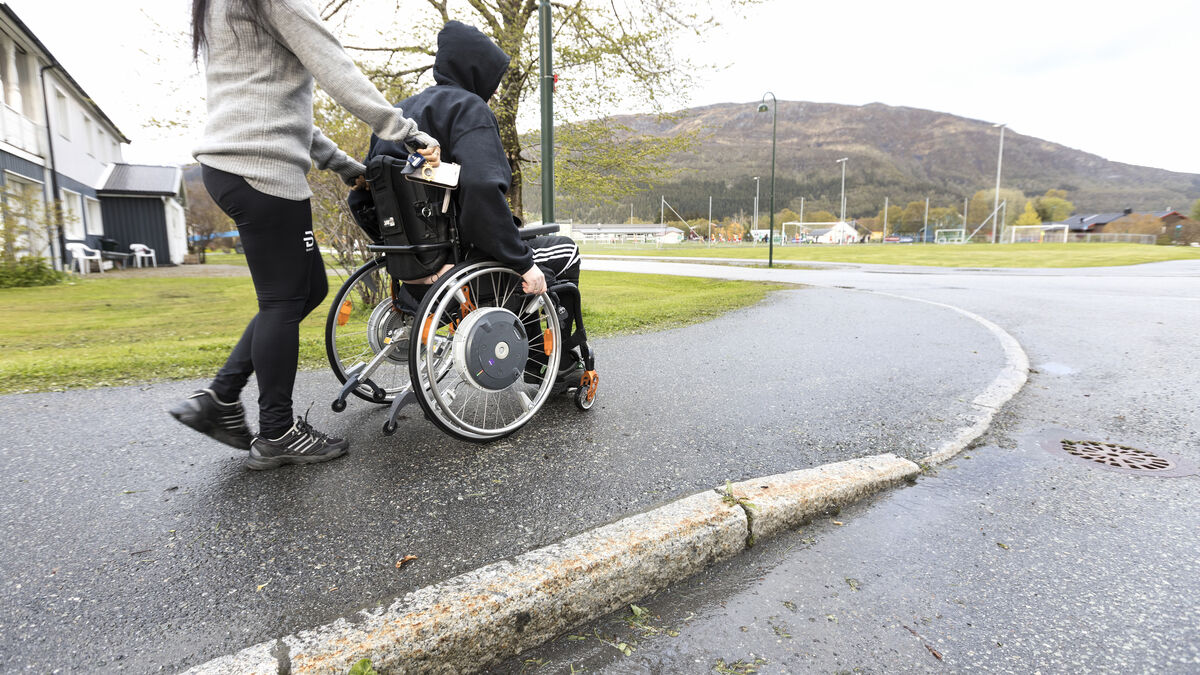 Half of assistance companies are used by criminals