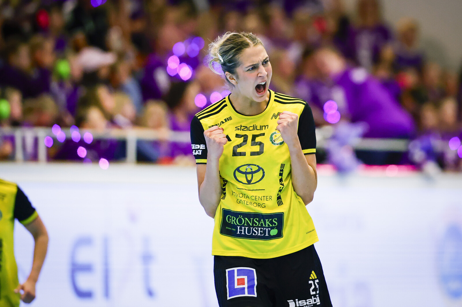 Sävehof Defeats Skara to Delay Historic Championship Win