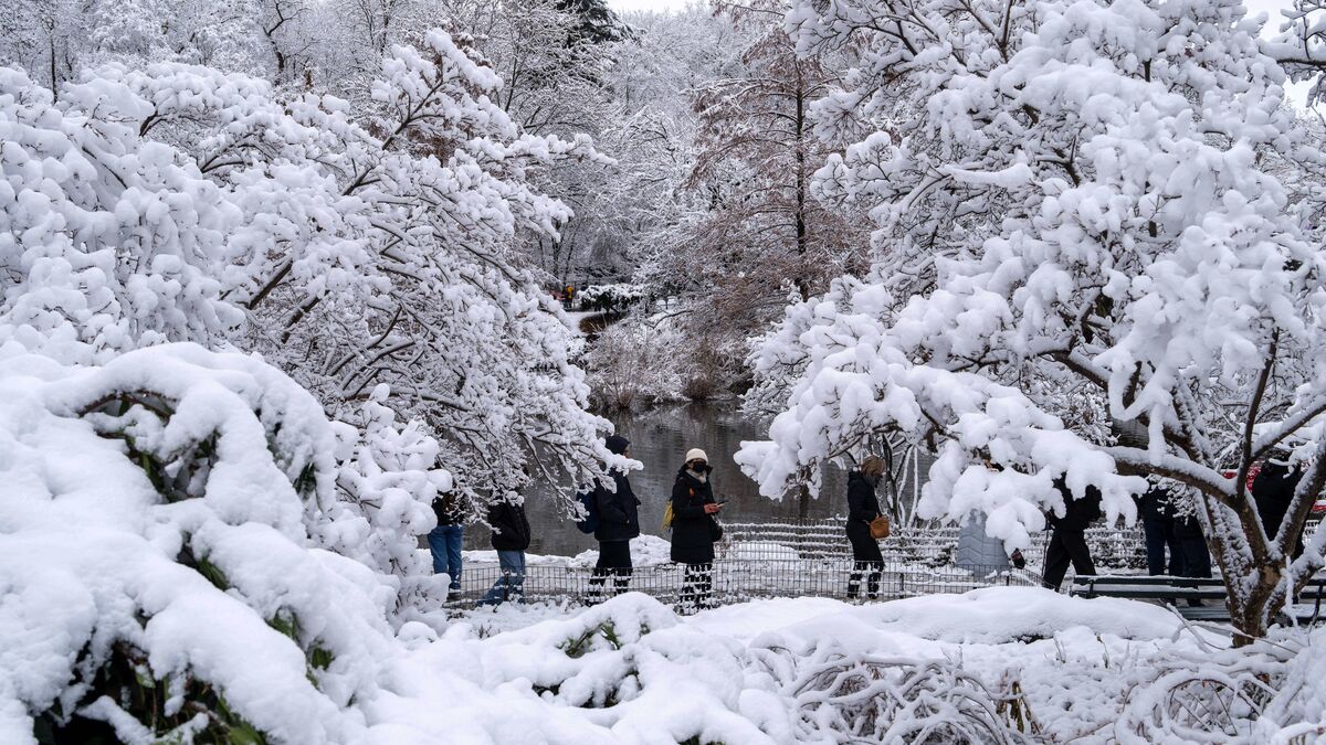 Canceled flights and snow-covered New