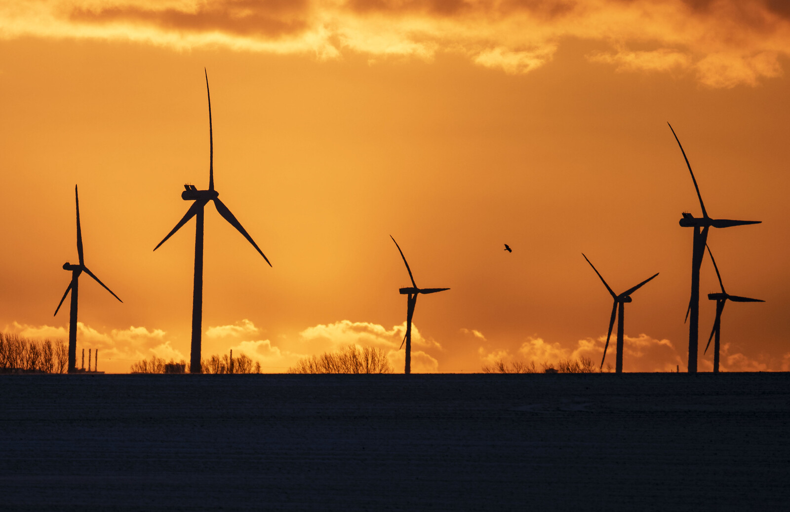 Wind Power Investments Stalled in Sweden This Year