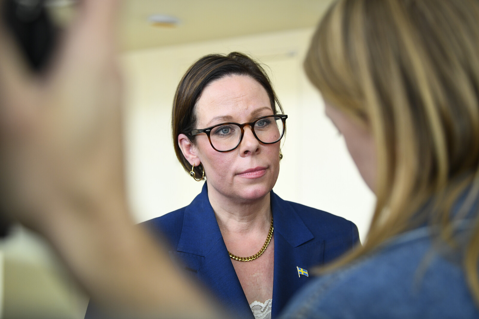 Swedish Foreign Minister Urges Israel