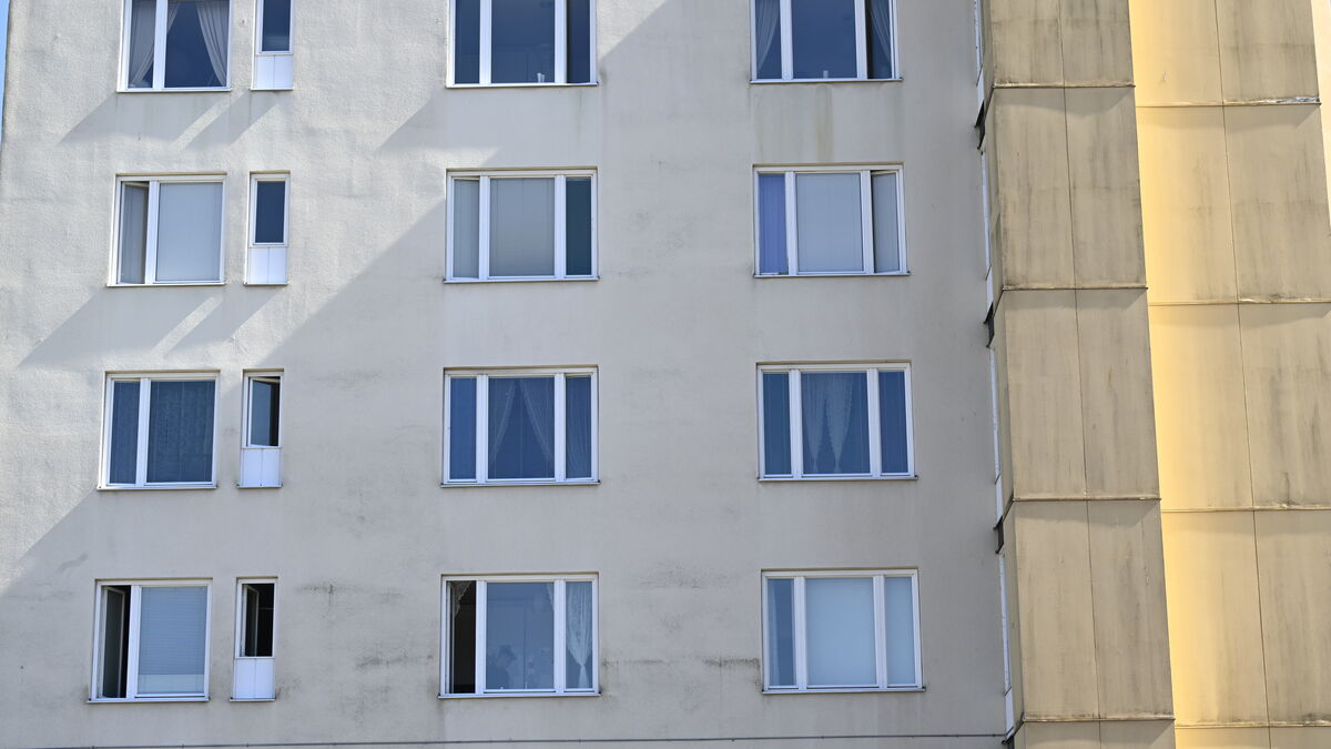 Rental households pay the largest share for housing