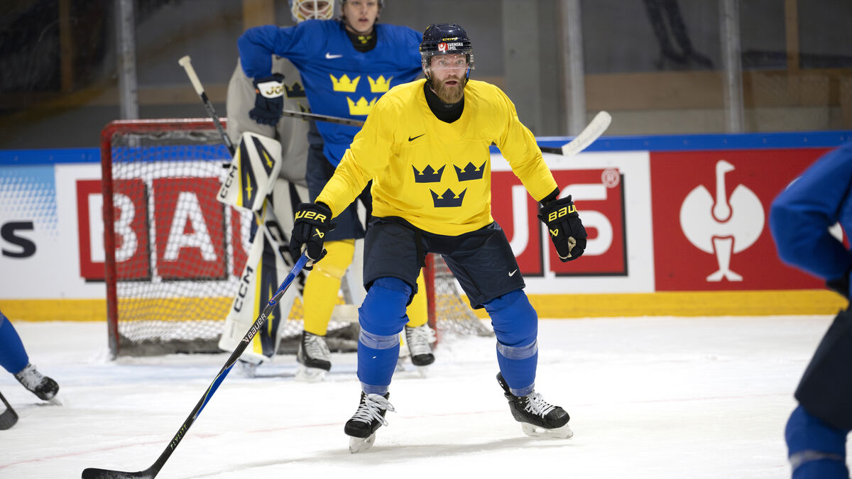 Star defender Mattias Ekholm: Sometimes a little afraid of conflict in Sweden