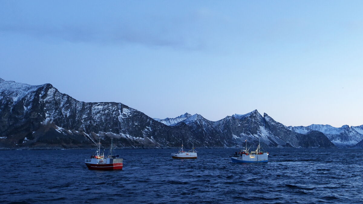 Fishing agreement finalized – lower quotas for cod