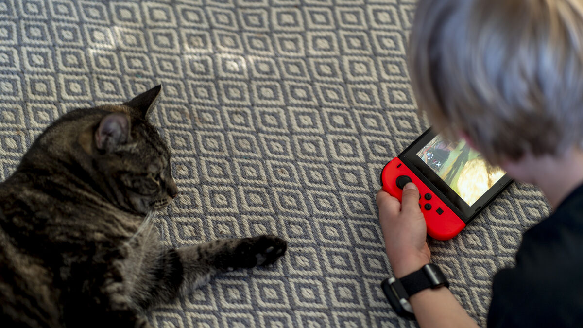 Nintendo raises Switch 2 price in US, Canada, Japan and Europe