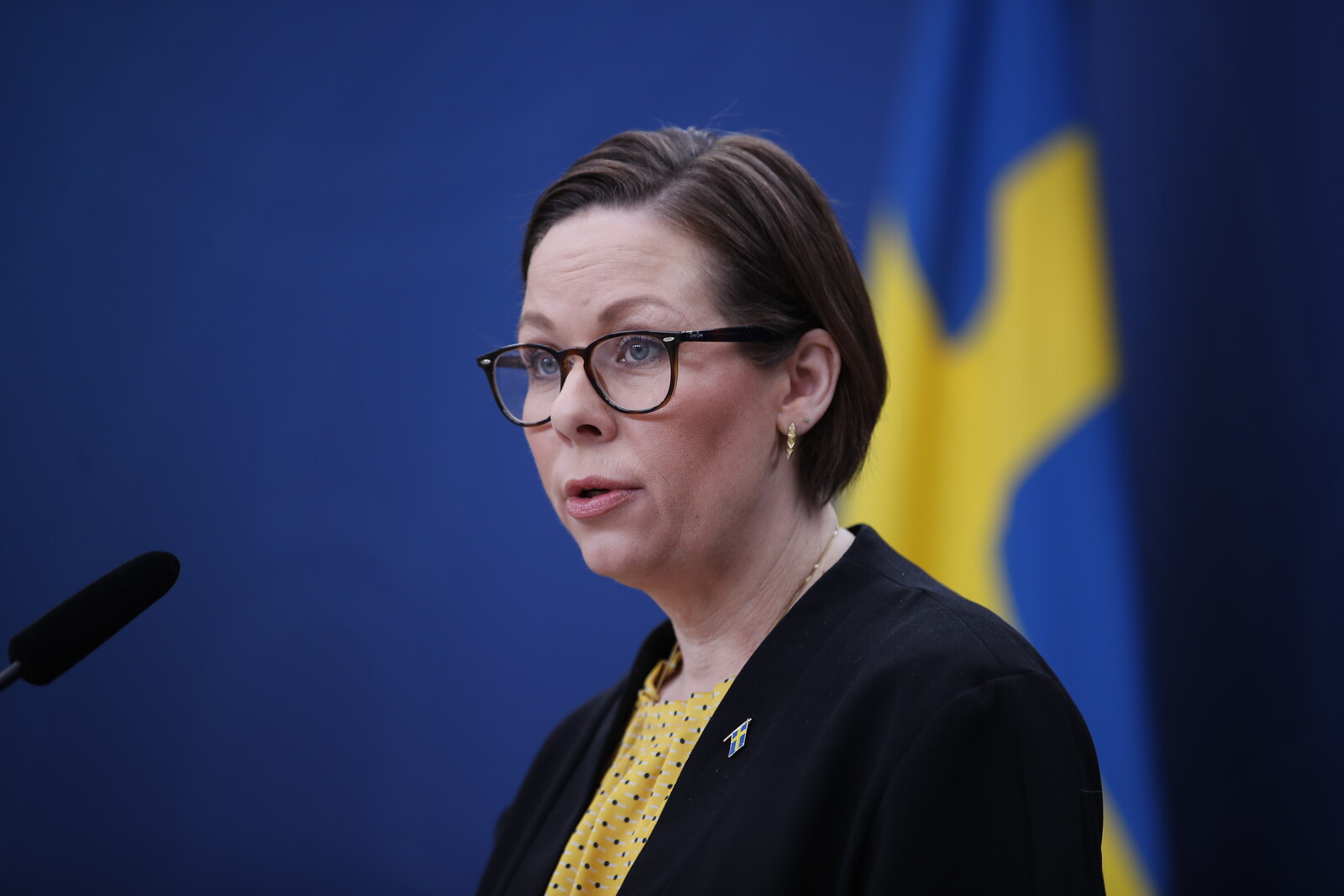 Sweden Advocates EU Sanctions on