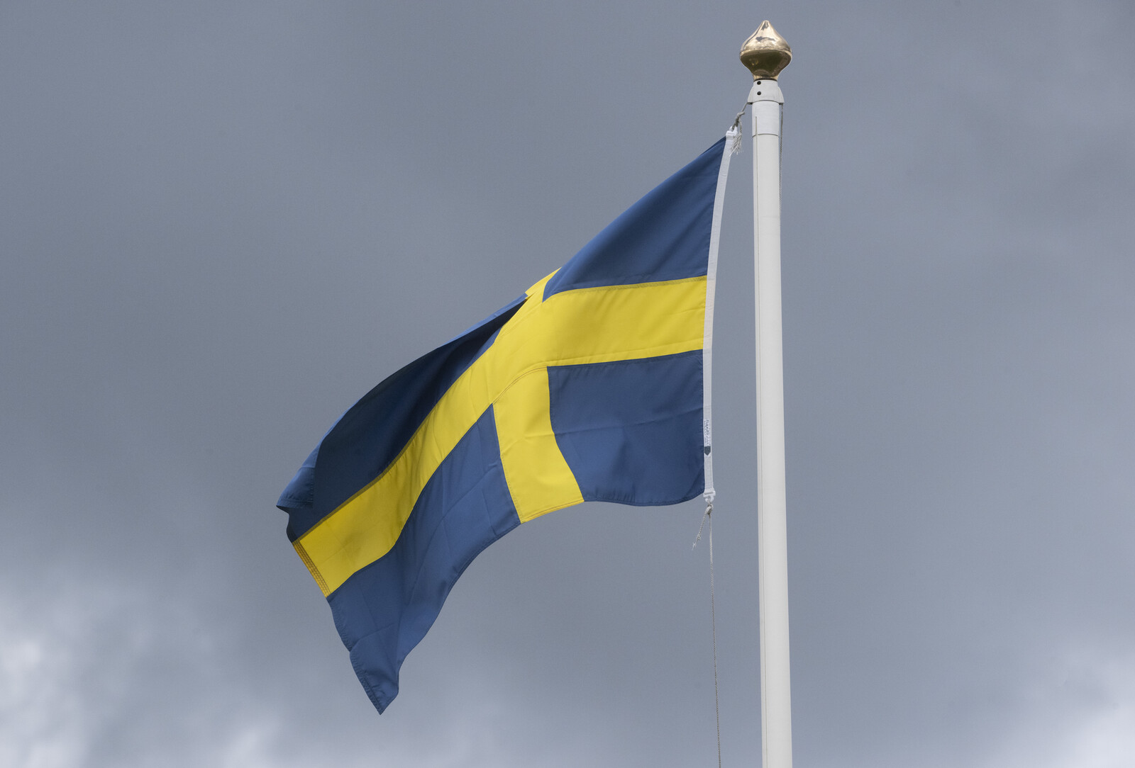 Swedish economy loses momentum.