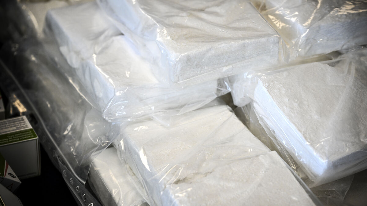 Smuggled 38 kilos of cocaine with three children in the car