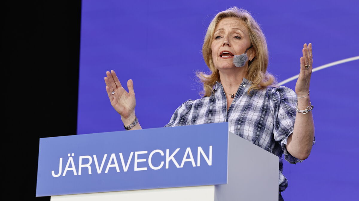 C-leader: Unrealistic to support Kristersson as prime minister