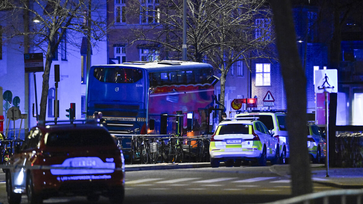 Three people dead in bus crash – driver arrested