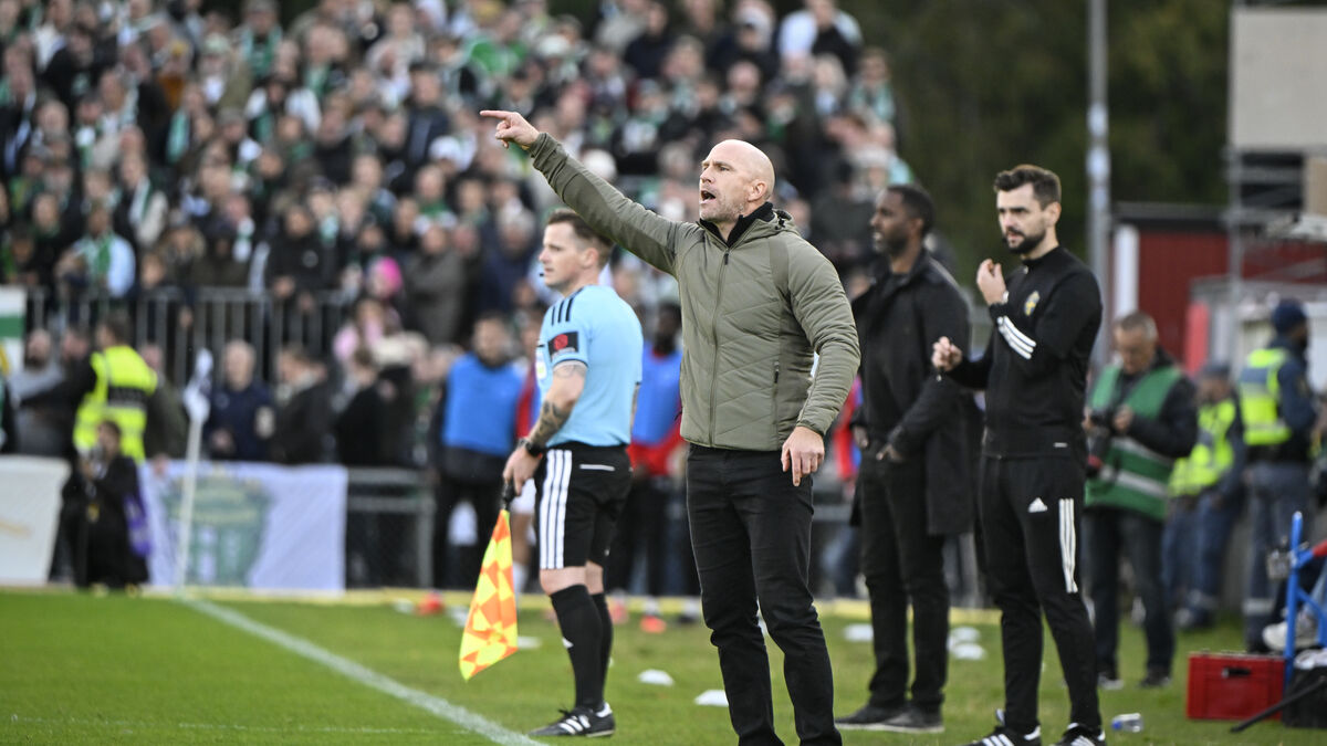 Hammarby Angers Djurgården Over Daniel