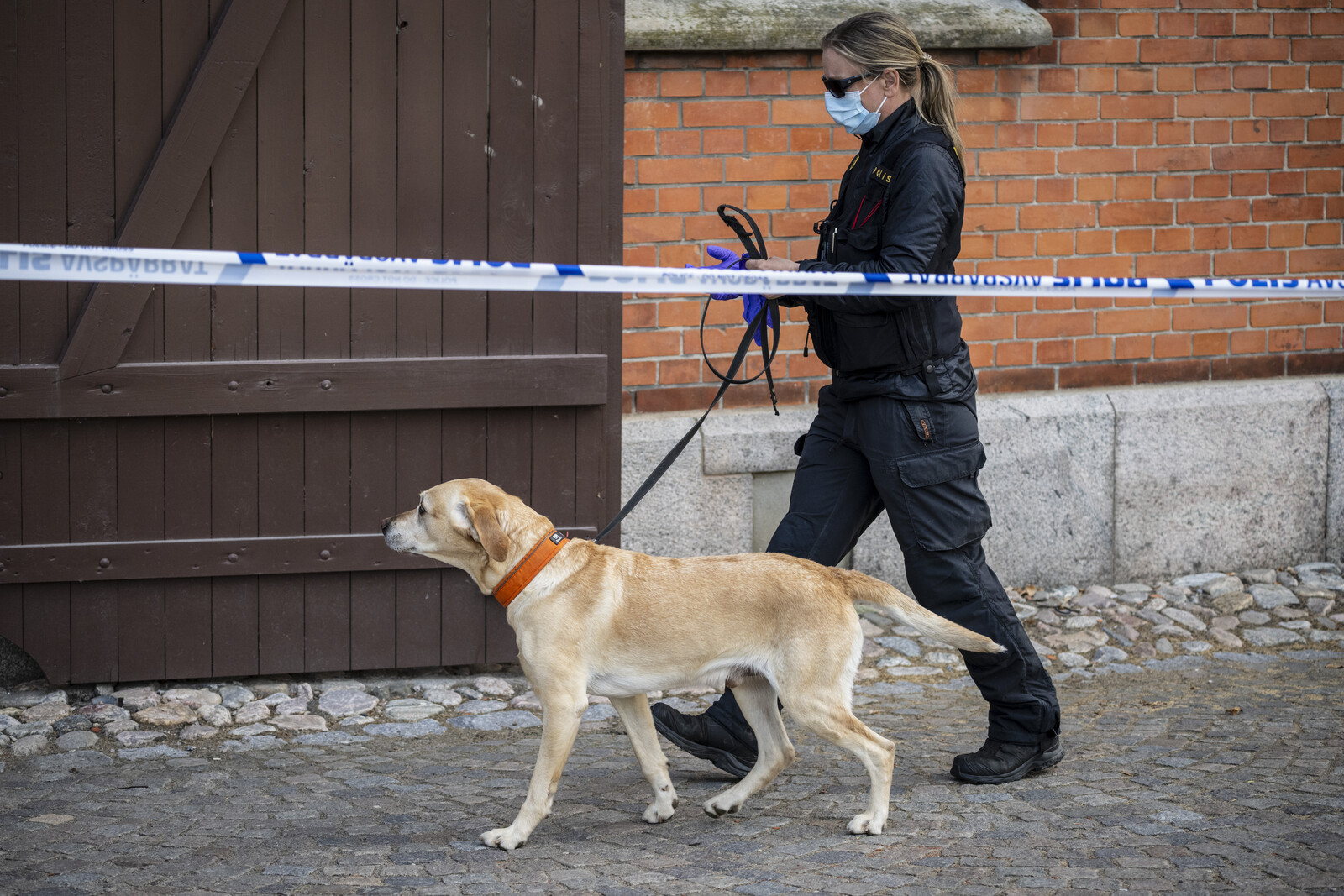 Suspected Attempted Murder Investigated at Ystad High School