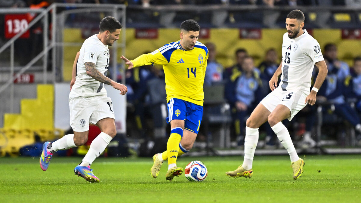 Bardghji wants to face Denmark: