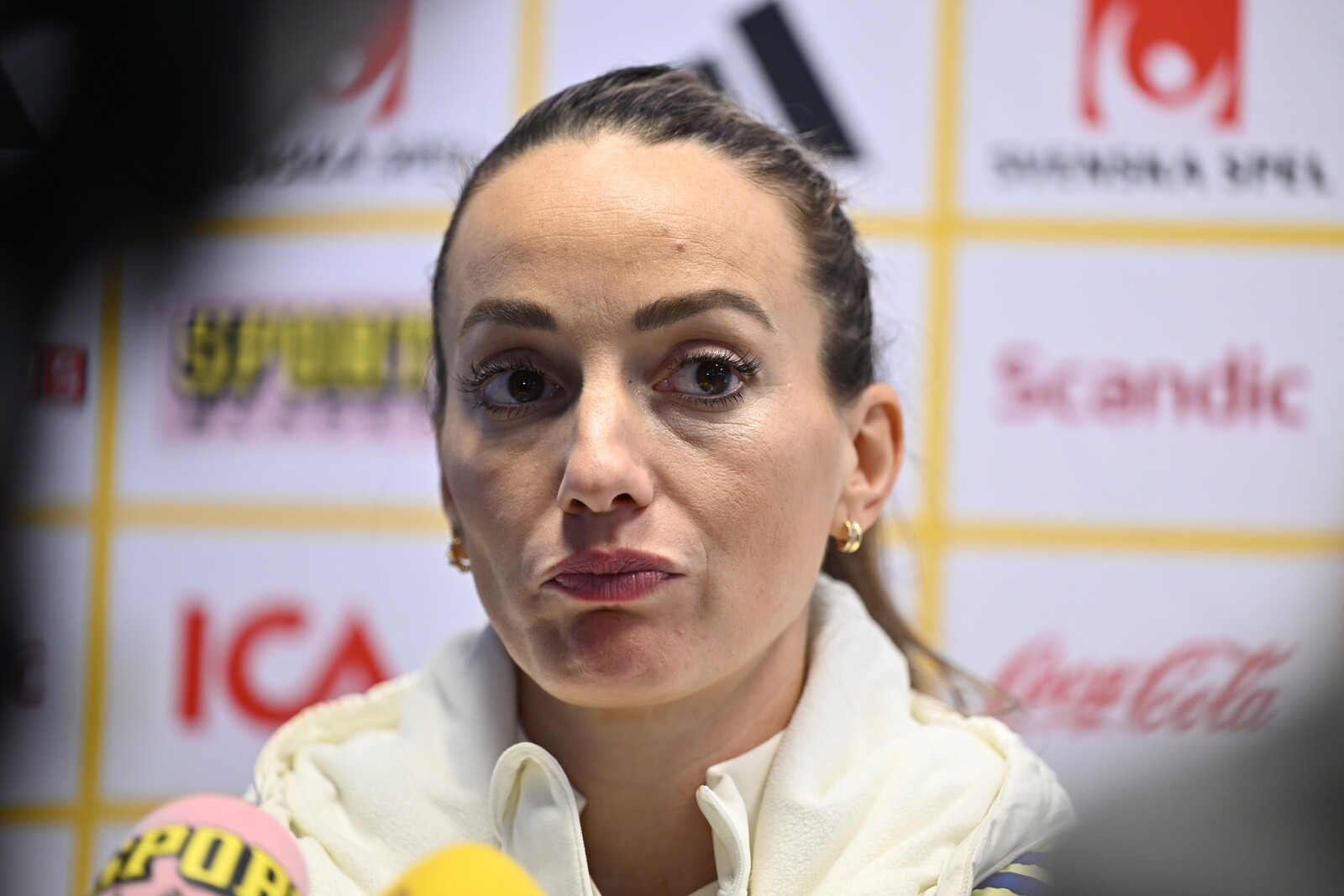 Asllani's criticism of Reinfeldt: "Different