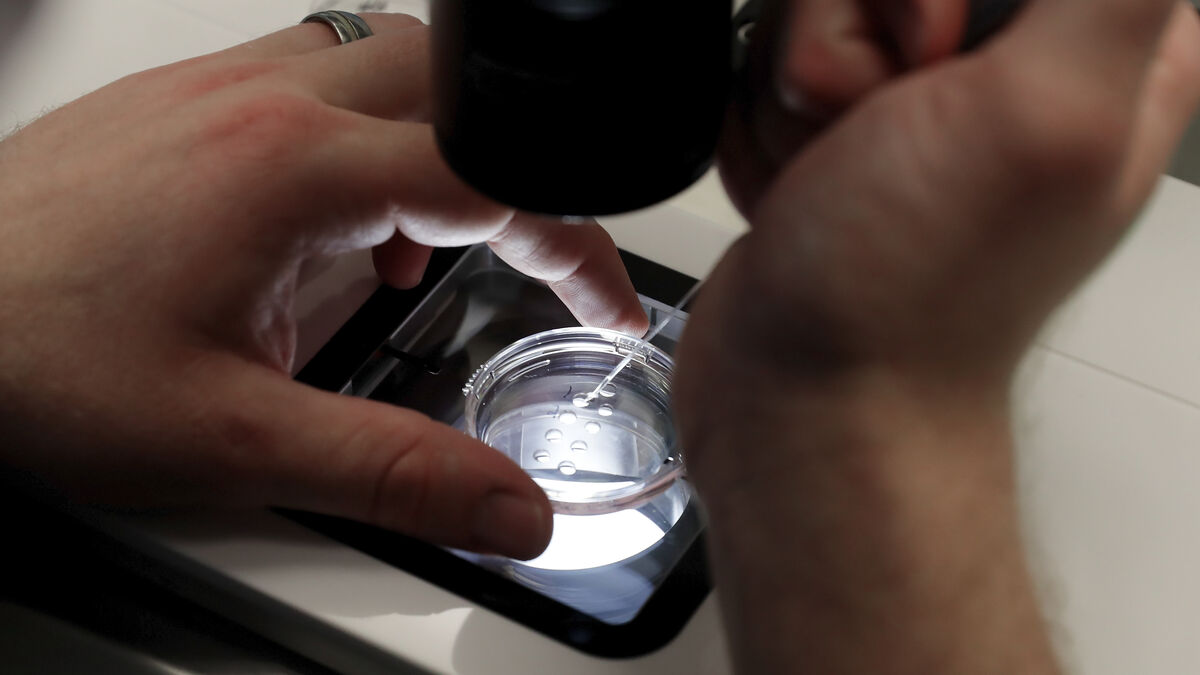 IVF add-on treatments cost a lot but rarely improve pregnancy chances, review finds